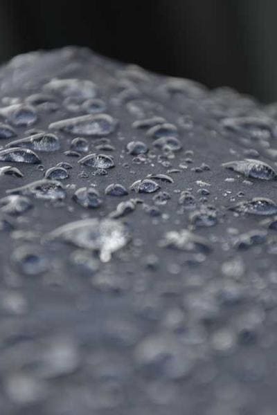 How to Start an LLC in Alabama