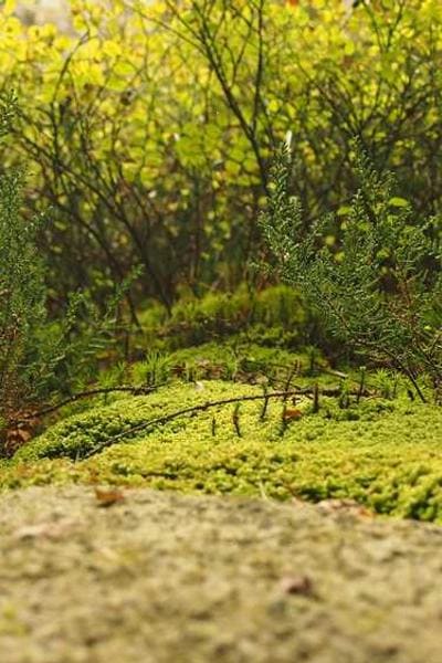 How to Start an LLC in Colorado